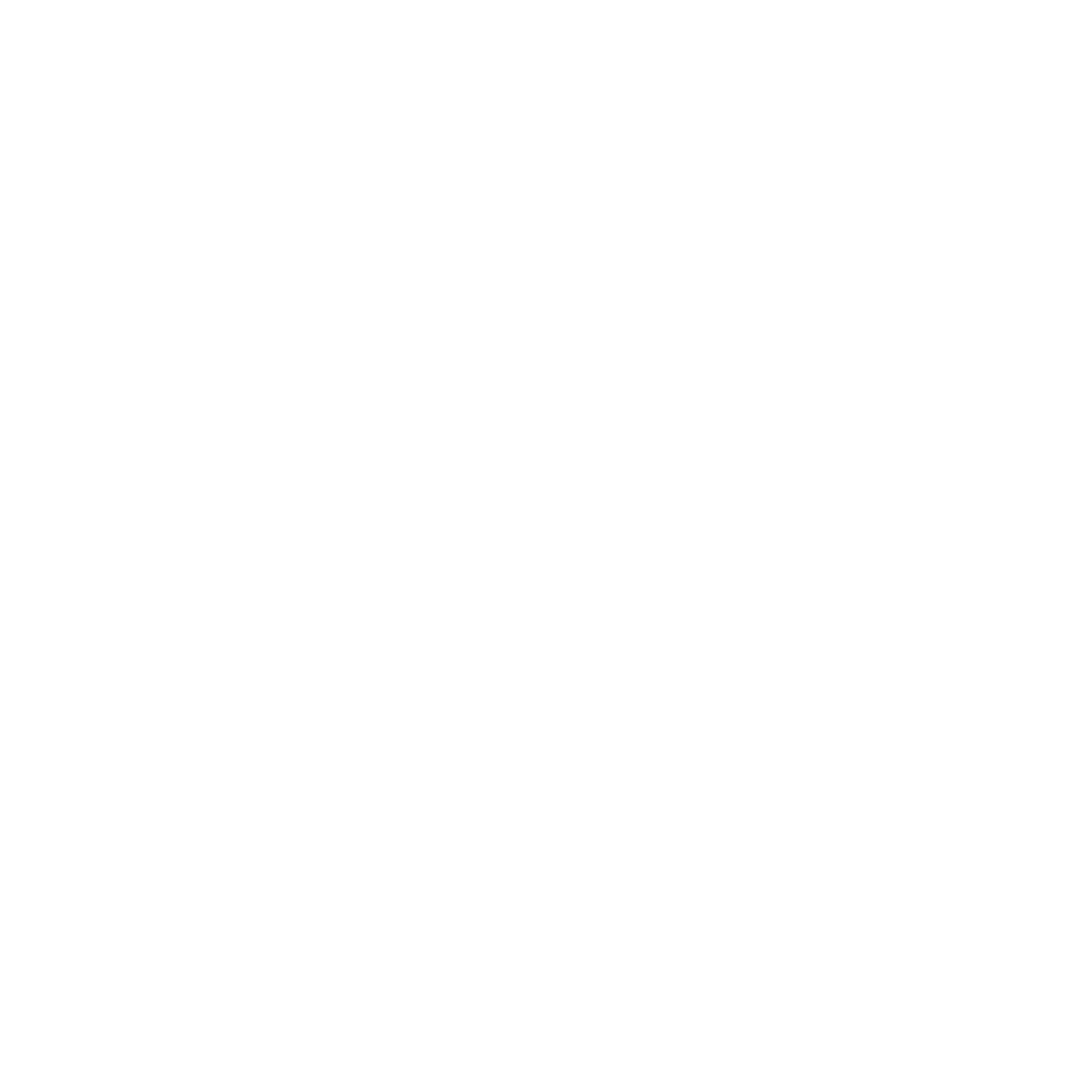 DIGIPOWER X